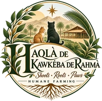 Haqlà de Kawkéba de Rahmà